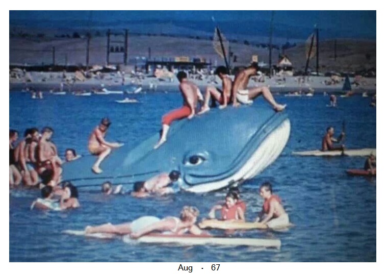 Who remembers when the Dunes whale had its flippers and was a fun launching pad?
